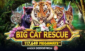 Big Cat Rescue Megaways 1pra1